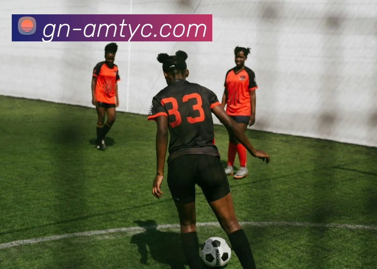 多媒体互动体验